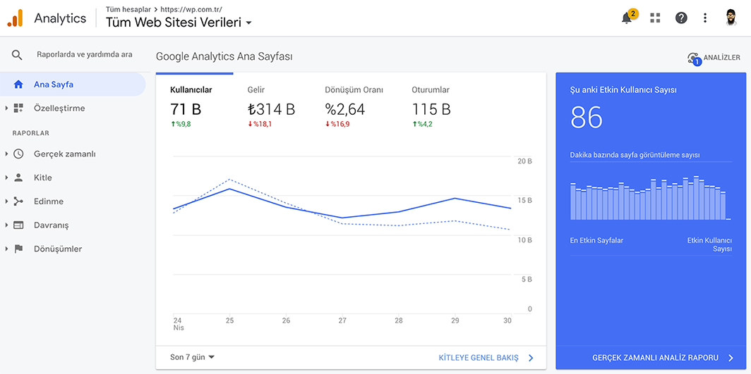 Ziyaretçi İstatistiklerini Google Analytics'te Görüntüleme