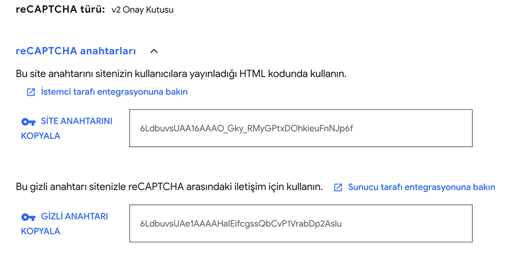 Google reCAPTCHA eklenti ayarları