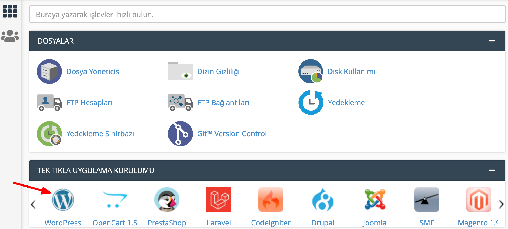 cPanel WordPress Kurulumu